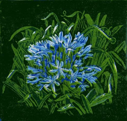 Janet Waters:<br><I>Agapanthus (Blue)</I>