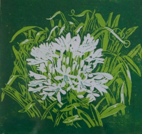 Janet Waters:<br><I>Agapanthus (White)</I>