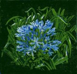 Janet Waters:<br><I>Agapanthus (Blue)</I>