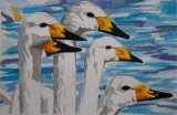 Janet Waters:<br><I>Bewick Swans</I>