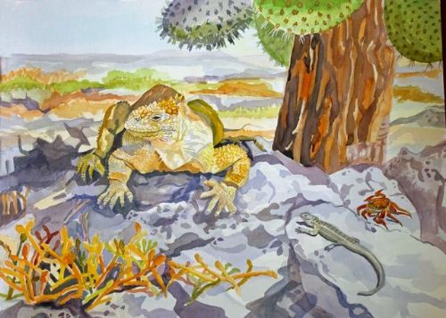 Janet Waters:<br><I>Iguana, Galapagos Islands</I>