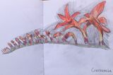 Janet Waters - In my garden - Crocosmia Sketch