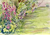 Janet Waters - In the garden