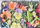 Janet Waters - Pansies