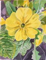 Janet Waters Image 1 Part 2