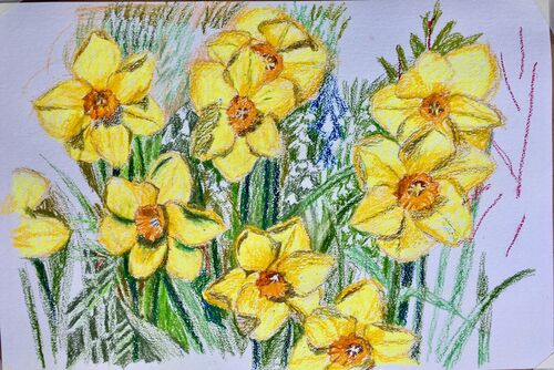 Janet Waters - Daffodils