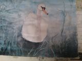 Sally Hayes - Swan - Part 1
