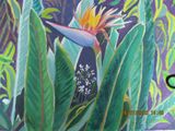 Sandra Everitt - In my garden - Image 2