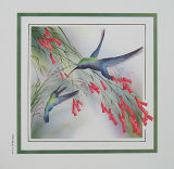 Humming Birds 9"x9"