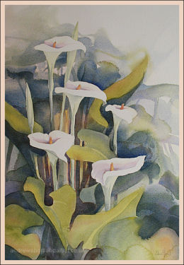 Arum Lilies 14"x22"