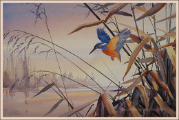 Misty Morning 14"x22"
