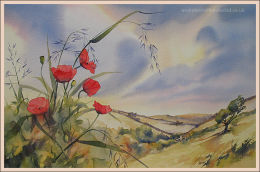 Exmoor Poppies 14"x22"