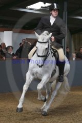 Iberian Horse Show