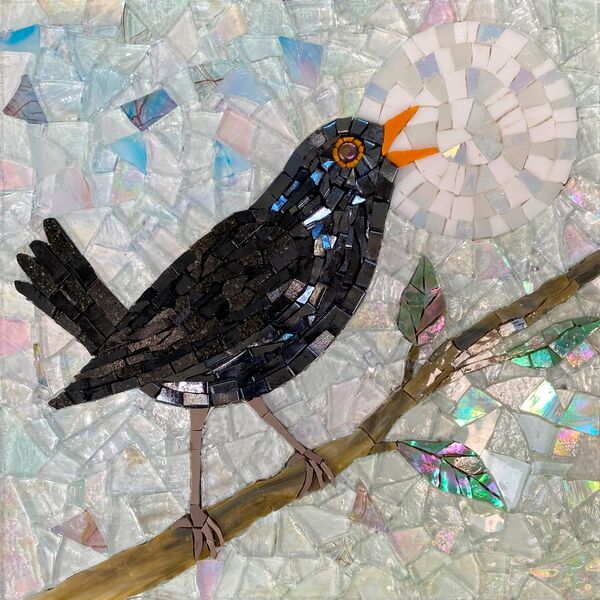 Mosaic Blackbird by mosaic artist Sue Kershaw