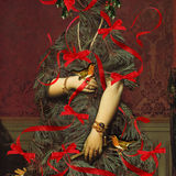 Fir