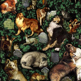 Pet Cemetery Hyde Park