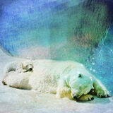 Talulla Bear's Bedtime Book p30-31/Cico Books