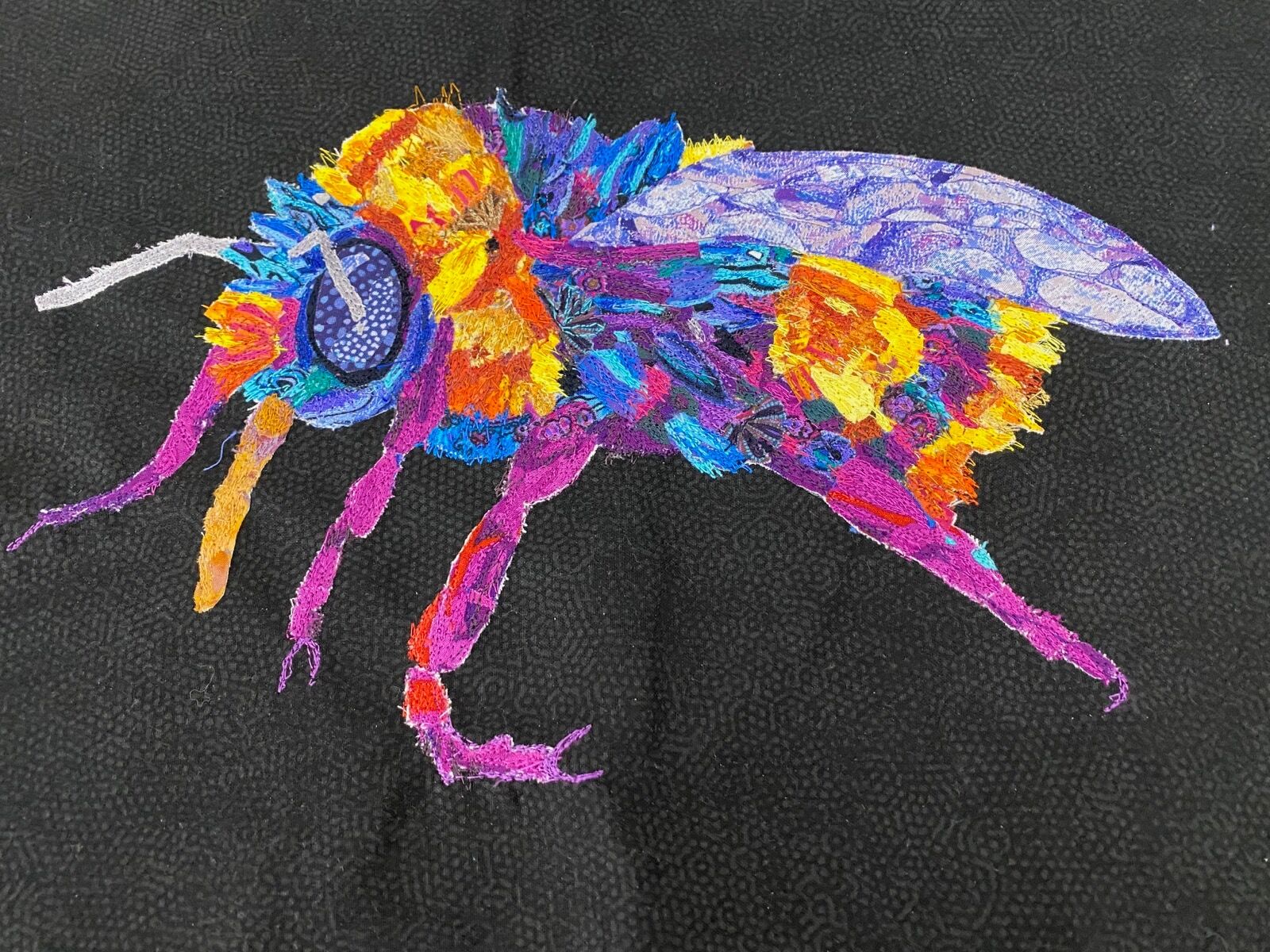 Show & Tell - January 2026