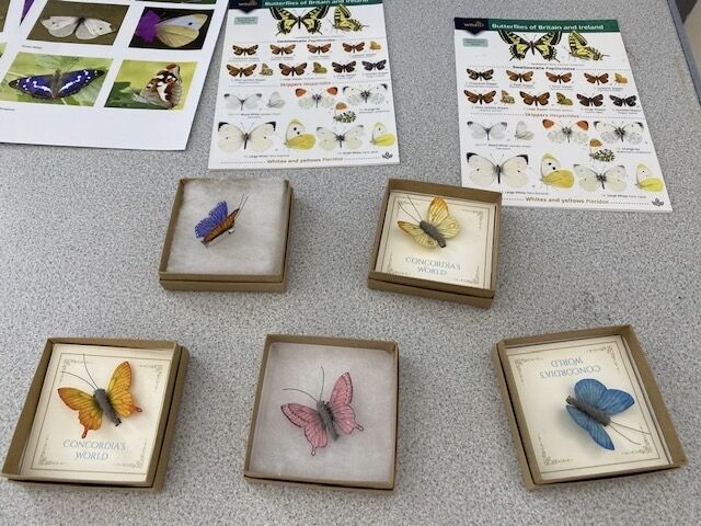 Butterfly Brooches by Mary-Ann Toop, February   2026