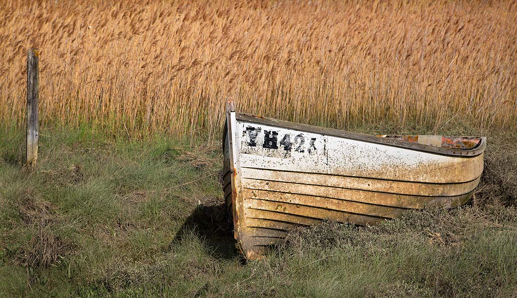 Abandoned Boat