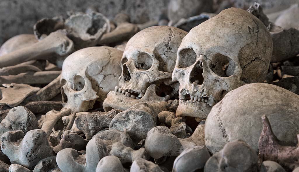 Intimations of Mortality