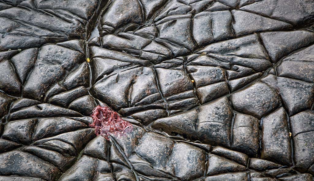 Kimmeridge Bay Rocks