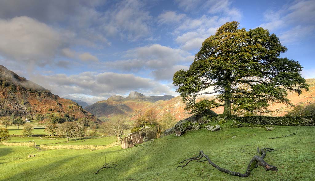Langdale Boulders