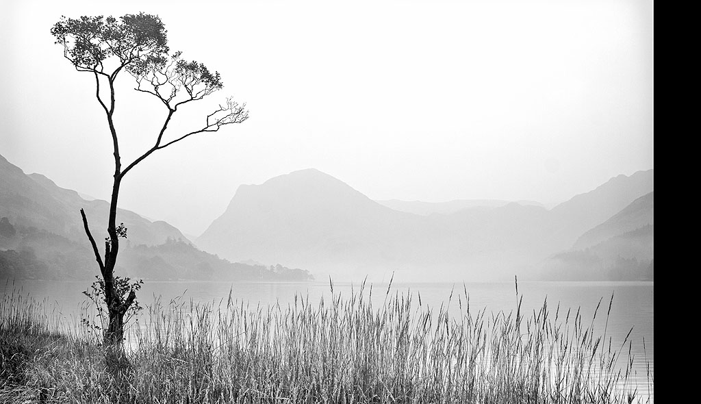Lone Tree Buttermere Mono