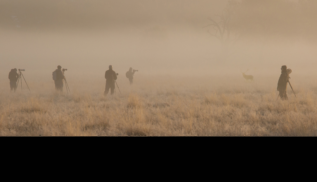 Photographers In The Mist