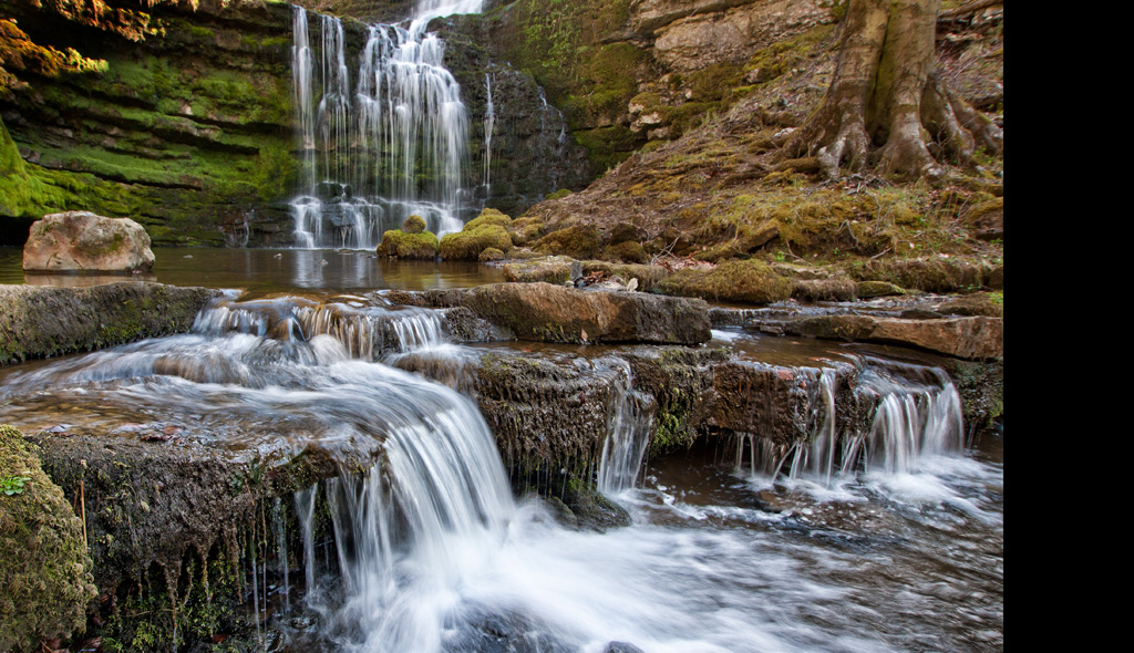 Scaleber Force