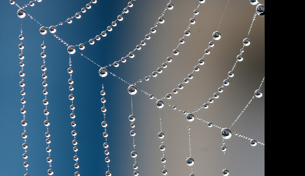 Spider Web Jewellery