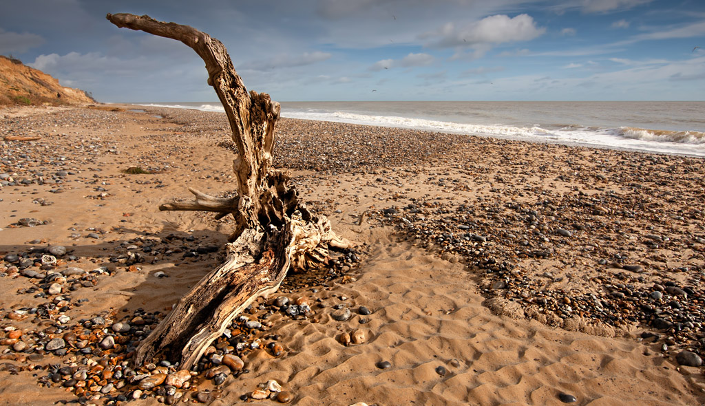 The Beach at Covehithe