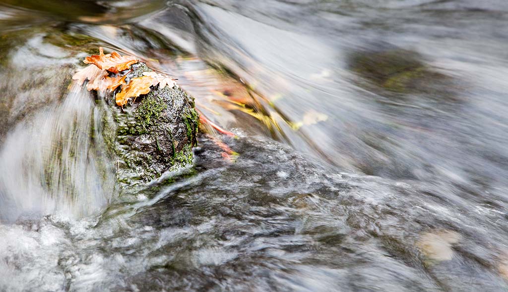 The River at Elterwater