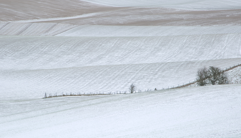 Therfield With a Heavy Frost