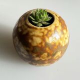 Glazed Stoneware with Sempervivum