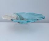 Wave bowl