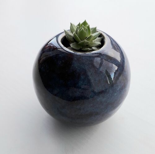 Glazed Stoneware with Sempervivum