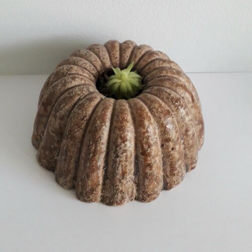 Jellymould Planter