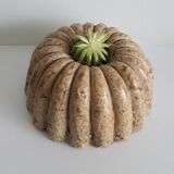 Jellymould Planter