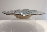 Wave bowl