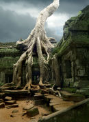 Silk-Cotton Tree, Ta Phrom