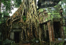 Ta Prohm