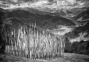 Prayer Flags Bhutan