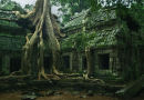 Ta Prohm