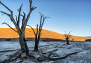 SunRise Dead Velt Namibia