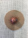 Detail of nipple sampler, 2018
