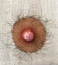 Nipple sampler, 2018, detail
