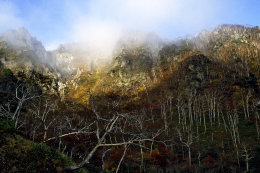 Autumn Hokkaido