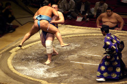 Sumo