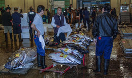 Tsukiji fish market